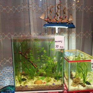 Akvarij šesterokutni, 19 litara