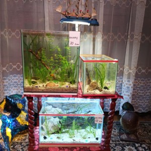 Akvarij šesterokutni, 19 litara