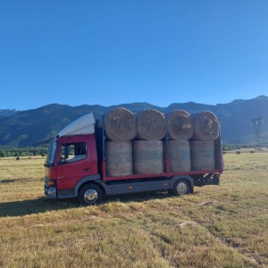 Mercedes Atego 817