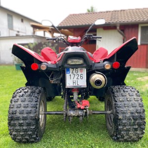 Adly 300xs