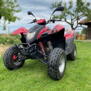 Adly 300xs
