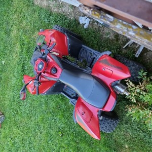 Adly 300xs