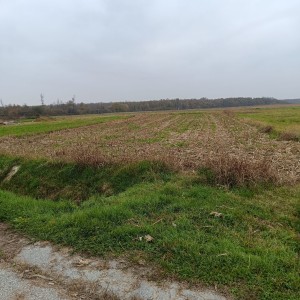 Prodajem građevinsko zemljište Odranski Obrež