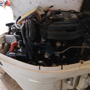 Evinrude E-TEC 25KS, 2019, uvezen iz Italije