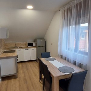PREDIVAN STAN ZA NAJAM - NOVO UREĐEN - Rudeš/ Oranice