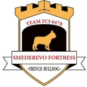 Francuski Buldog PRELEPI štenci