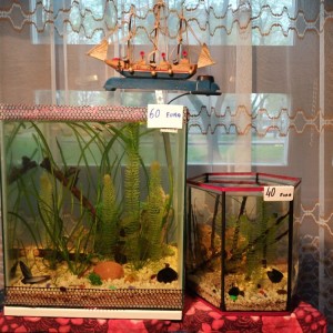 Akvarij kocka, 44 litre