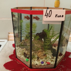 Akvarij kocka, 44 litre