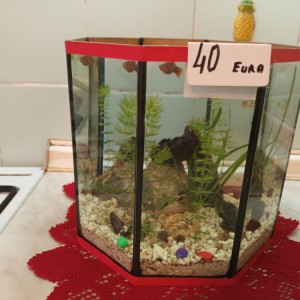 Akvarij kocka, 44 litre