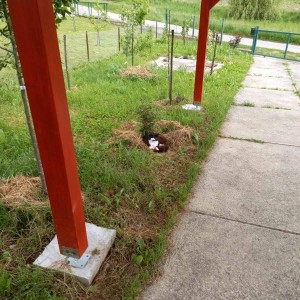 OBITELJSKA kuća nadomak grada Zagreba
