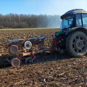 Plug Krone Mustang