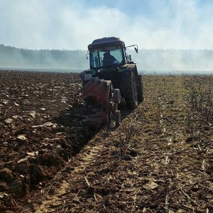 Plug Krone Mustang