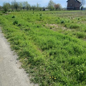 Poljoprivredno zemljište - Brezovica