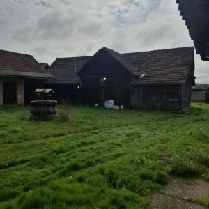 Prodajem kuću sa voćnjakom i zemljom ispod kuće