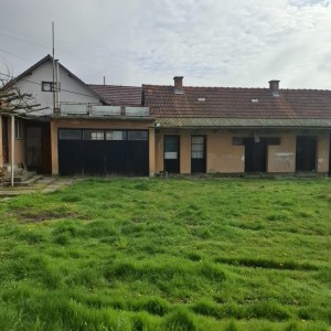 Prodajem kuću sa voćnjakom i zemljom ispod kuće