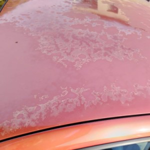Renault Clio 3 , 1.5 dci