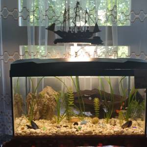 Akvarij 54 litre, sa poklopcem