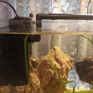 Akvarij 54 litre, sa poklopcem