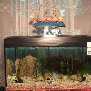 Akvarij šesterokutni