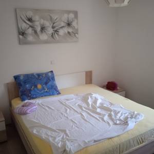 Apartman otok Pag - Mandre,