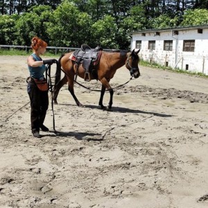 Appaloosa pastuh