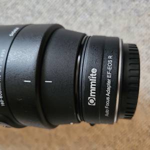 Canon EOS RP i Sigma 150-600 DG OS HSM