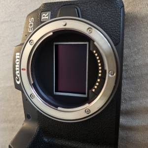 Canon EOS RP i Sigma 150-600 DG OS HSM
