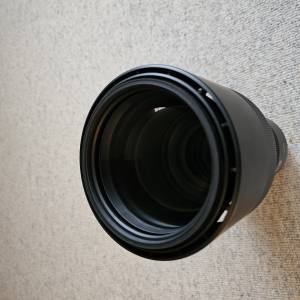 Canon EOS RP i Sigma 150-600 DG OS HSM