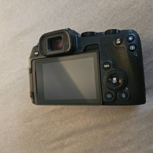 Canon EOS RP i Sigma 150-600 DG OS HSM