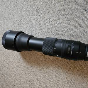 Canon EOS RP i Sigma 150-600 DG OS HSM