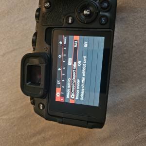 Canon EOS RP i Sigma 150-600 DG OS HSM