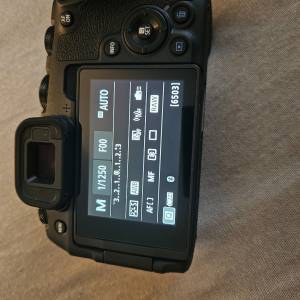 Canon EOS RP i Sigma 150-600 DG OS HSM