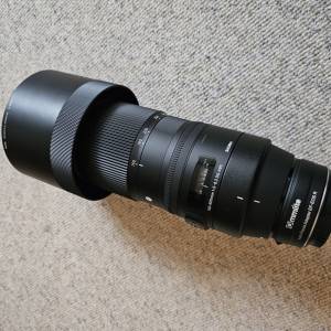 Canon EOS RP i Sigma 150-600 DG OS HSM