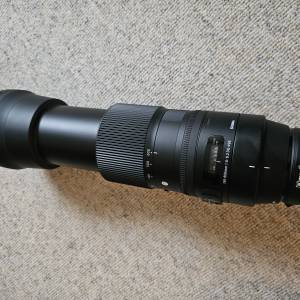 Canon EOS RP i Sigma 150-600 DG OS HSM
