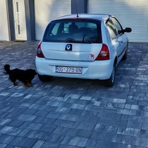 Clio