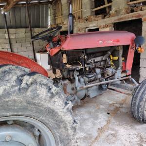 Imt 558