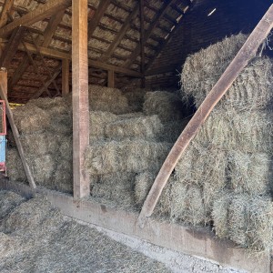 Kockaste bale sijena