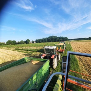 Kombajn Claas Dominator 58 Special