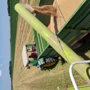 Kombajn Claas Dominator 58 Special
