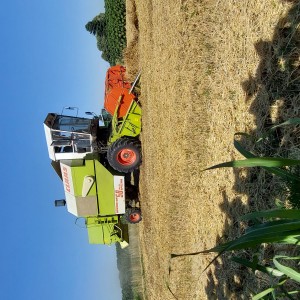 Kombajn Claas Dominator 58 Special