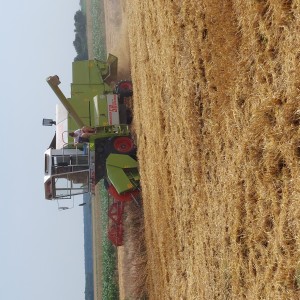 Kombajn Claas Dominator 58 Special