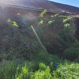 Košnja trave i šišanje živice, cijela Hrvatska i inozemstvo