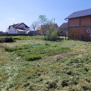 Košnja trave i šišanje živice, cijela Hrvatska i inozemstvo