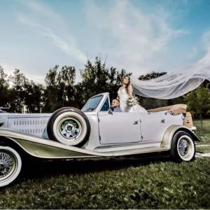 Najam oldtimera i luxuznih limuzina