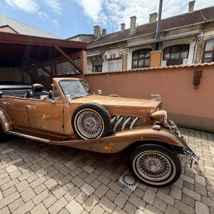 Najam oldtimera i luxuznih limuzina