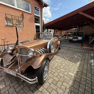Najam oldtimera i luxuznih limuzina