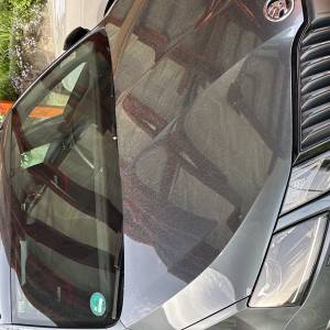 Octavia RS
