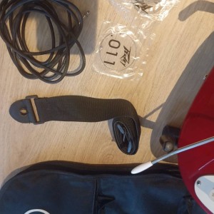 Peavey Raptor plus exp