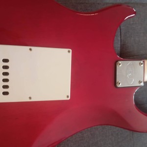 Peavey Raptor plus exp
