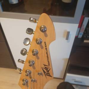 Peavey Raptor plus exp